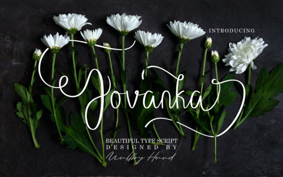 Jovanka Font: A Handwritten Script for Modern Digital Design