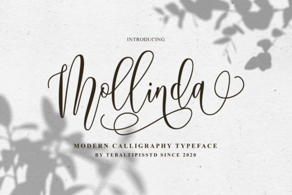 Mollinda Script Font for Makers and Creative Sellers