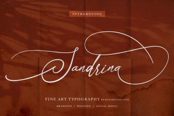 Sandrina Font: A Beautiful Script for Crafting and Design